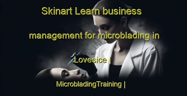 Skinart Learn business management for microblading in Lovesice | MicrobladingTraining | MicrobladingClasses | SkinartTraining-Czech Republic